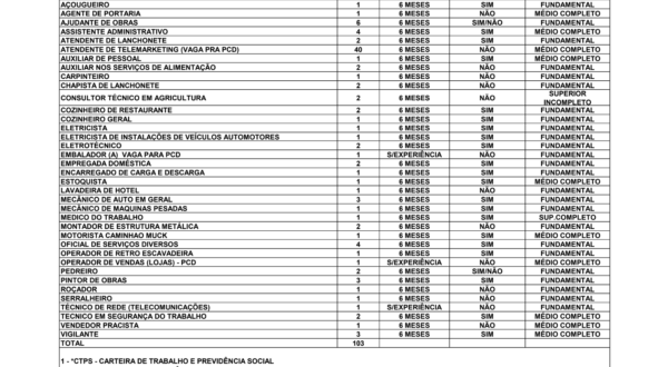 Sine oferece mais de 100 vagas de emprego nesta sexta-feira, 24