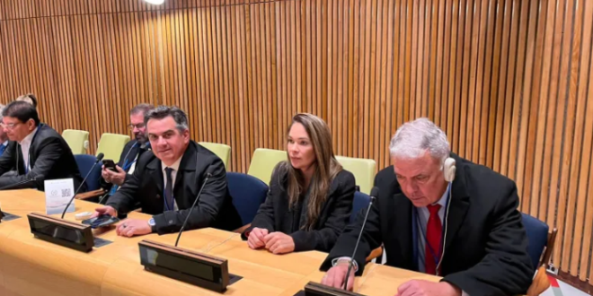 Marfisa Galvão participa de audiência da ONU
