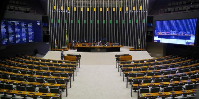 Coluna da Angélica- Vamos para o plenário?