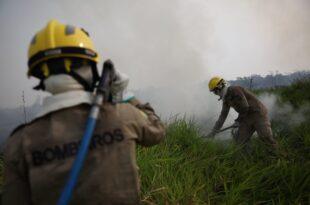 Com o apoio do REM, órgãos estaduais e federais integram ações para o período de emergência ambiental