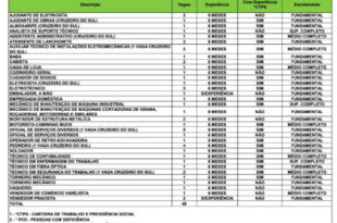 Sine disponibiliza quase 50 vagas de emprego para o Acre nesta segunda