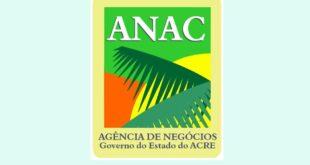 Anac oferta vagas para curso gratuito na área de exportação