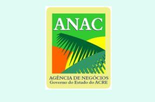 Anac oferta vagas para curso gratuito na área de exportação