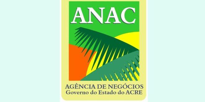Anac oferta vagas para curso gratuito na área de exportação