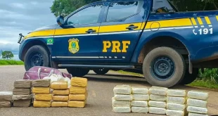 PRF prende passageiros com 40kg de drogas em ônibus