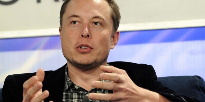 Guerra das IAs: Elon Musk anuncia o TruthGPT