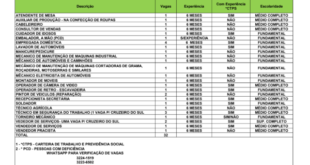 Sine disponibiliza mais de 30 vagas de emprego para o Acre