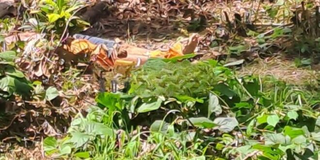 Polícia identifica homem que teve o coração arrancado