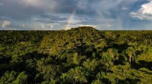 Focos de queimadas no Acre diminuem mais de 70% em quase cinco meses