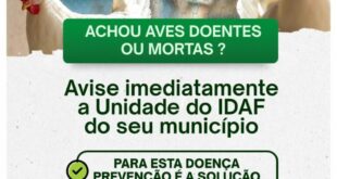 Idaf orienta produtores em caso de suspeita de gripe aviária