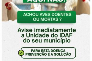 Idaf orienta produtores em caso de suspeita de gripe aviária