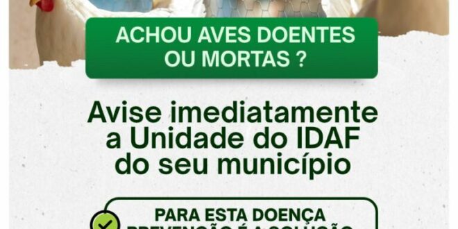 Idaf orienta produtores em caso de suspeita de gripe aviária