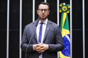 Projeto proíbe extermínio de animais saudáveis por órgãos de controle de zoonoses