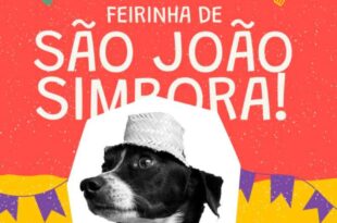 Feira reúne empreendedores populares para celebrar o São João