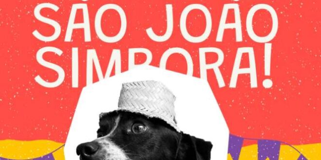 Feira reúne empreendedores populares para celebrar o São João