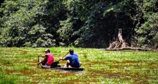 Governo divulga programação em alusão ao Dia Mundial do Meio Ambiente