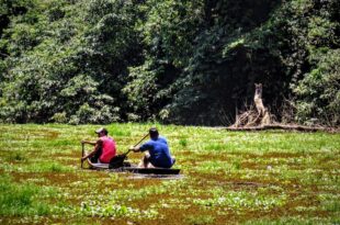 Governo divulga programação em alusão ao Dia Mundial do Meio Ambiente