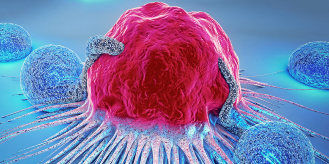 Câncer deve ser a primeira causa de mortes no País até 2030, diz observatório de oncolologia