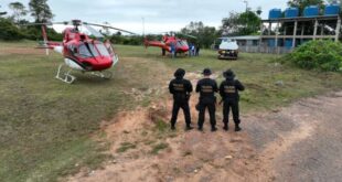 PF e ICMBio combatem extração de madeira em Floresta Pública
