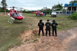 PF e ICMBio combatem extração de madeira em Floresta Pública