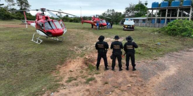 PF e ICMBio combatem extração de madeira em Floresta Pública