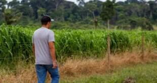 Programa REM Acre promoverá atividades formativas para a produção sustentável na Expoacre