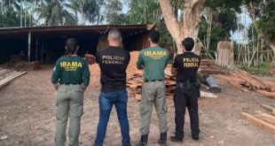 PF prende suspeitos de comércio ilegal de madeira