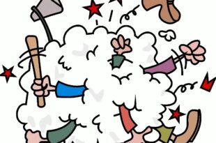 Coluna da Angélica- Um retrato da política no Acre