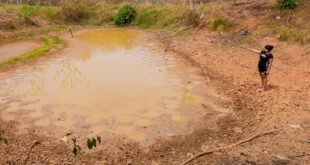 Boletim semanal sobre a seca no estado do Acre – de 11 a 18 de outubro