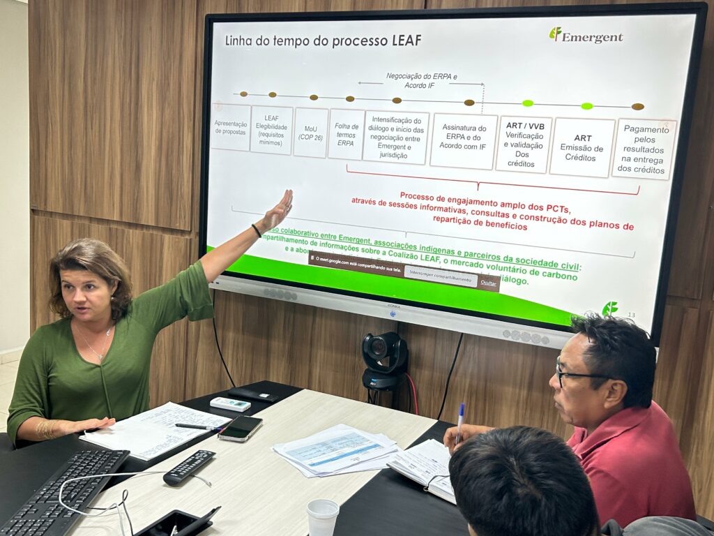 Coalizão Leaf apresenta iniciativa para apoiar ações de enfrentamento ao desmatamento