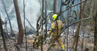 Governo do Acre intensifica ações de resgate e contenção a incêndio florestal em local de acidente aéreo