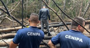 Especialistas estão no Acre para investigar acidente aéreo 