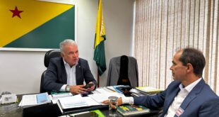 Medidas emergenciais para combater a praga da mandioca