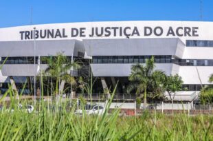 TJ divulga lista de inscritos para os cargos de psicólogo, assistente social, monitor de campo e educador social