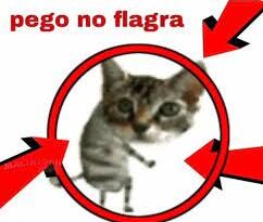Coluna da Angélica- Mesa diretora defende vereador flagrado em casa noturna com carro alugado pela Câmara