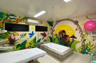 Arte e Saúde: Hospital da Criança e Maternidade são decorados com grafites temáticos