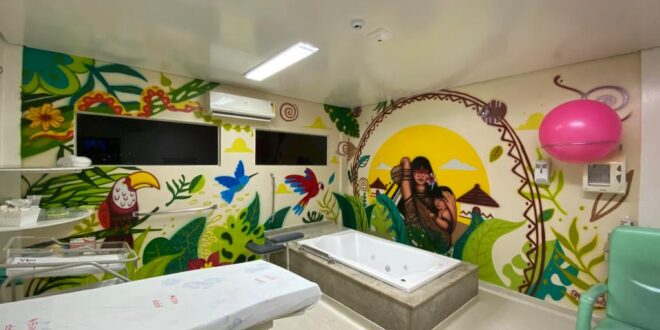 Arte e Saúde: Hospital da Criança e Maternidade são decorados com grafites temáticos