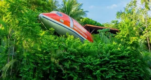 Criativo: empreendedor transforma avião abandonado em hotel com vista para o mar e diária de quase R$ 2 mil