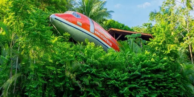 Criativo: empreendedor transforma avião abandonado em hotel com vista para o mar e diária de quase R$ 2 mil