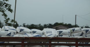 Produtores familiares da pecuária leiteira do Baixo Acre são beneficiados com insumos 