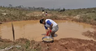 Boletim semanal sobre a seca no Acre – de 6 a 13 de dezembro