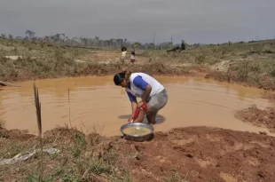 Boletim semanal sobre a seca no Acre – de 6 a 13 de dezembro