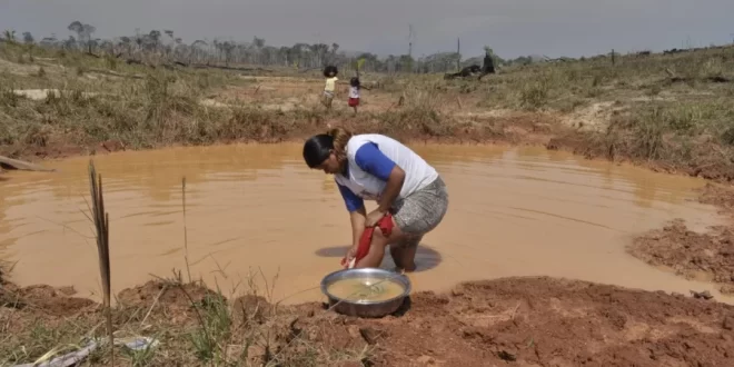 Boletim semanal sobre a seca no Acre – de 6 a 13 de dezembro