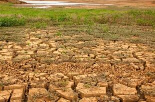 Boletim semanal sobre a seca no Acre – de 15 a 22 de novembro