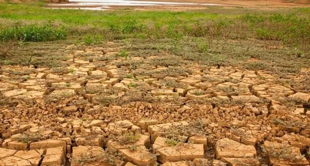 Boletim semanal sobre a seca no Estado do Acre – de 1º a 8 de novembro