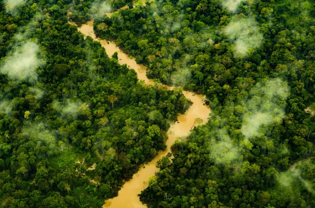 Acre é o estado com menos alertas de desmatamento na 1ª quinzena de dezembro