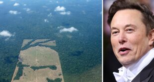 Coluna da Angélica- Mistério: Elon Musk no Acre