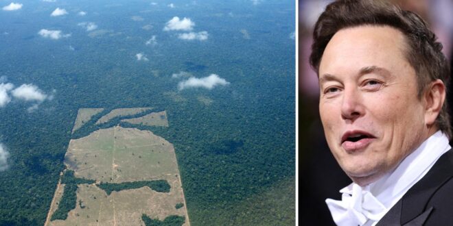 Coluna da Angélica- Mistério: Elon Musk no Acre