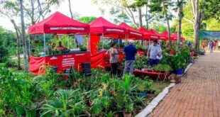 Feira Natalina de Economia Popular e Solidária no Horto Florestal, em Rio Branco