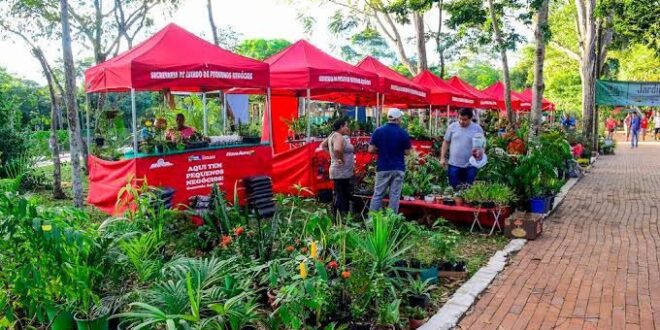 Feira Natalina de Economia Popular e Solidária no Horto Florestal, em Rio Branco